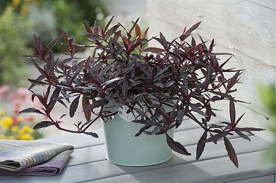 《海克斯炸欢天：英雄联盟外传》还将登陆网飞游戏平台